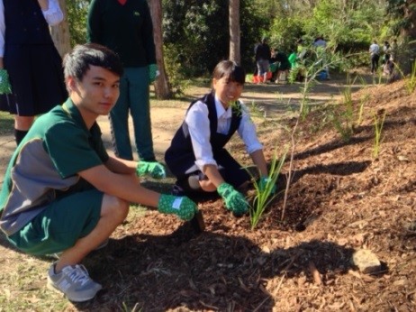 Students gardening